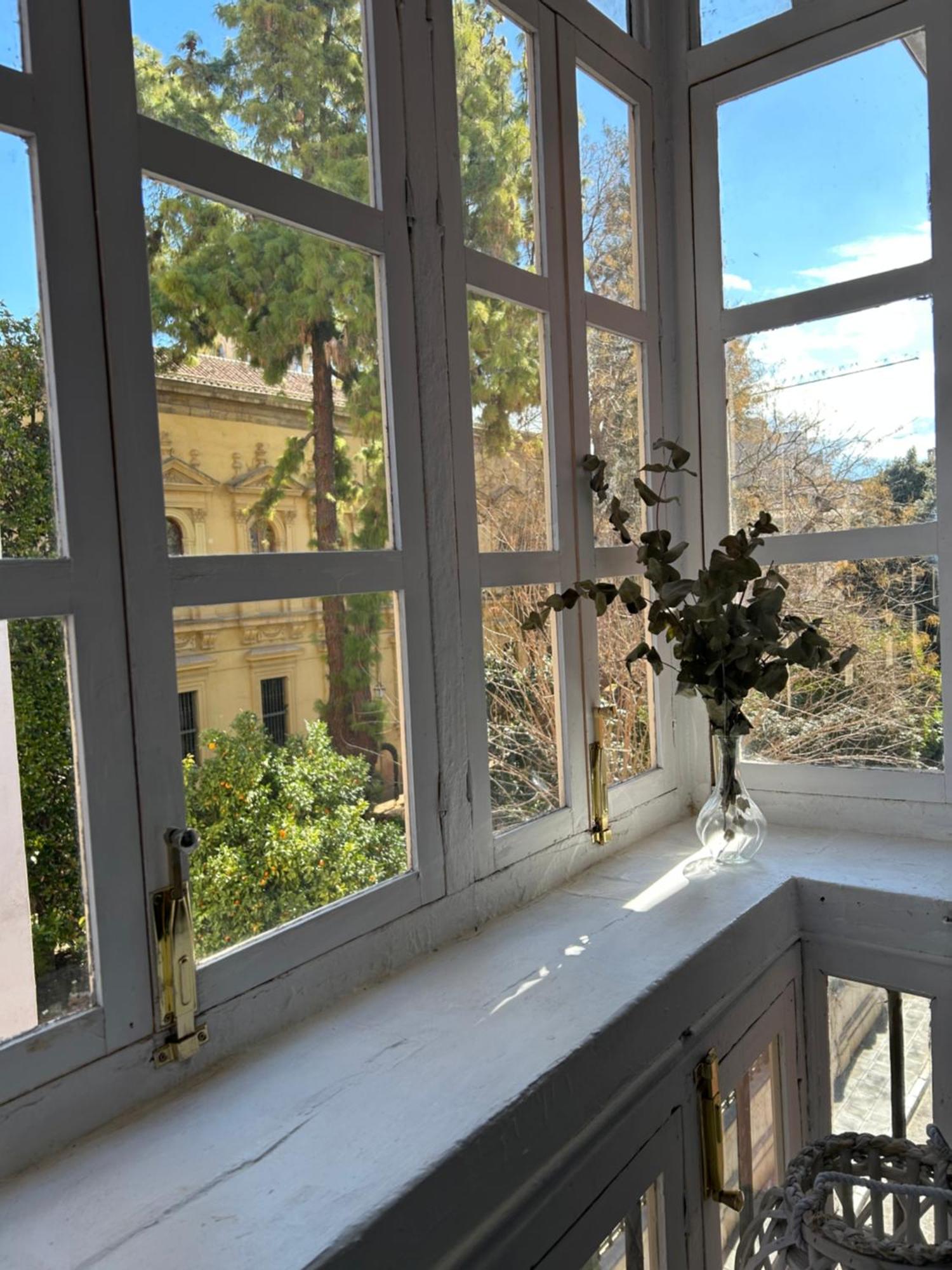 Apartamento Jardin Botanico グラナダ エクステリア 写真